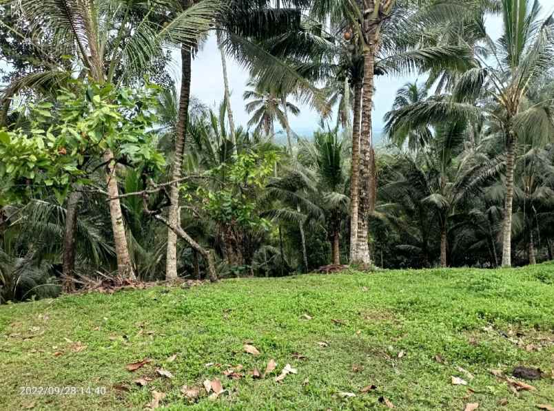 tanah view gunung dan lembah dekat villa bali palm