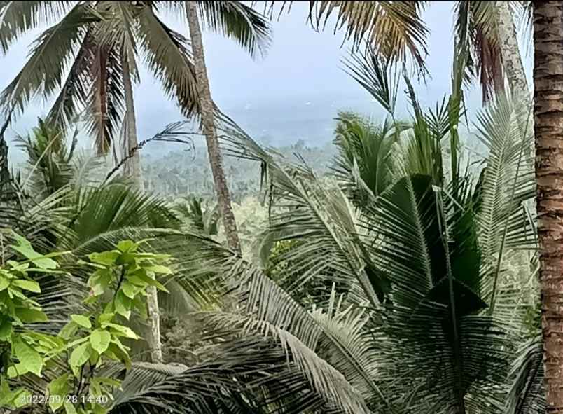 tanah view gunung dan lembah dekat villa bali palm