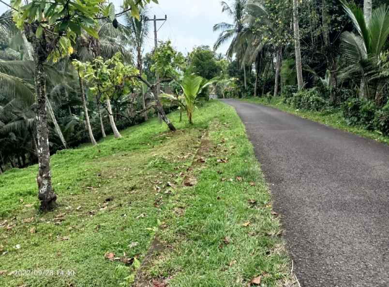 tanah view gunung dan lembah dekat villa bali palm