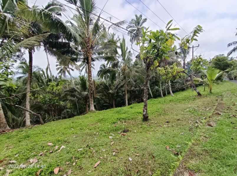 tanah view gunung dan lembah dekat villa bali palm