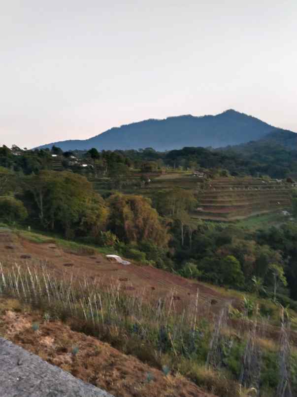 tanah view gunung dekat karmel bedugul bali