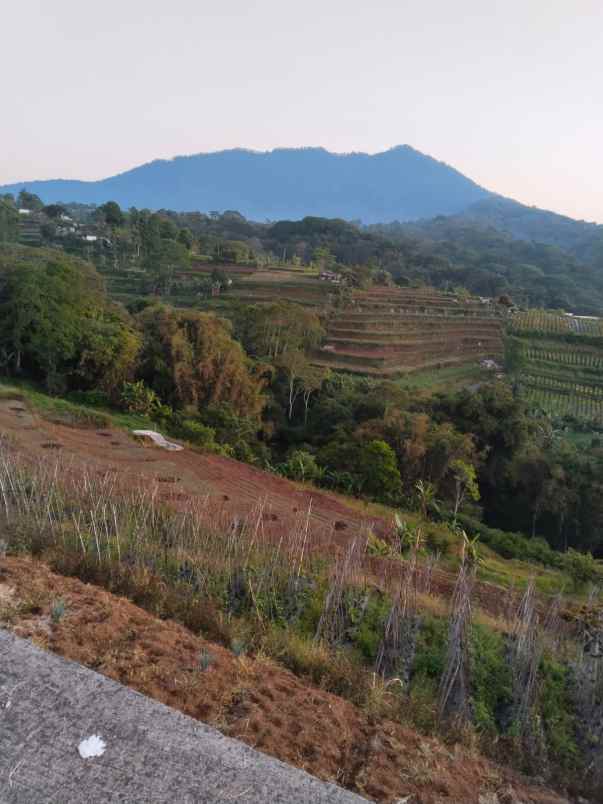 tanah view gunung dekat karmel bedugul bali