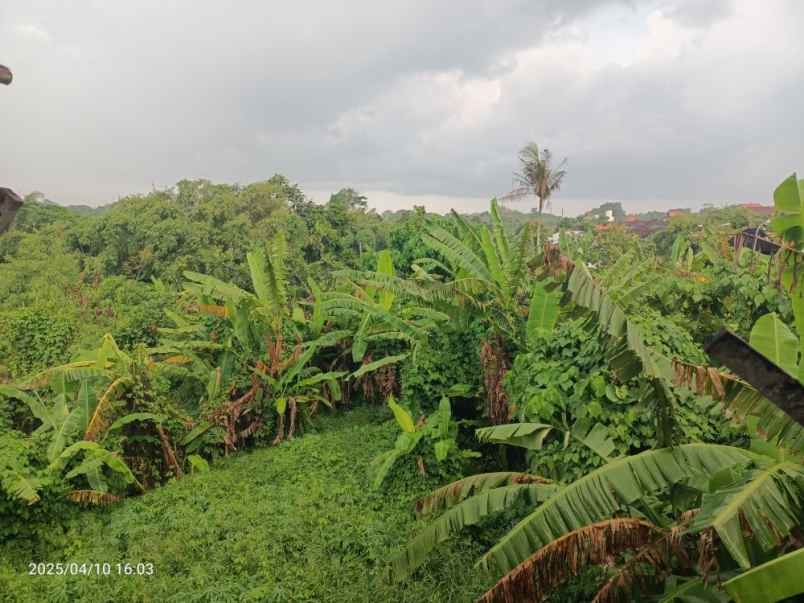 tanah view sawah dekat canggu dan tanah lot bali