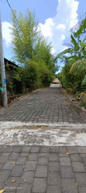 tanah view sawah dekat canggu dan tanah lot bali