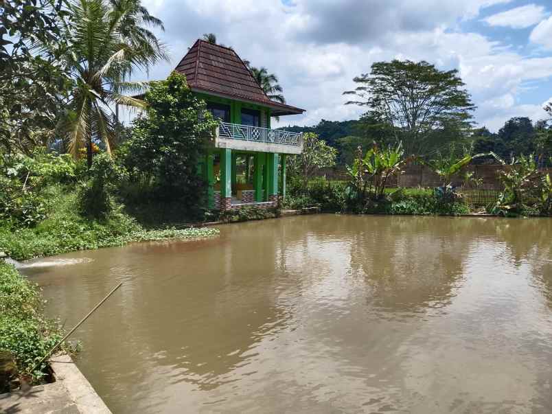 vila kolam ikan sumber air subur subang
