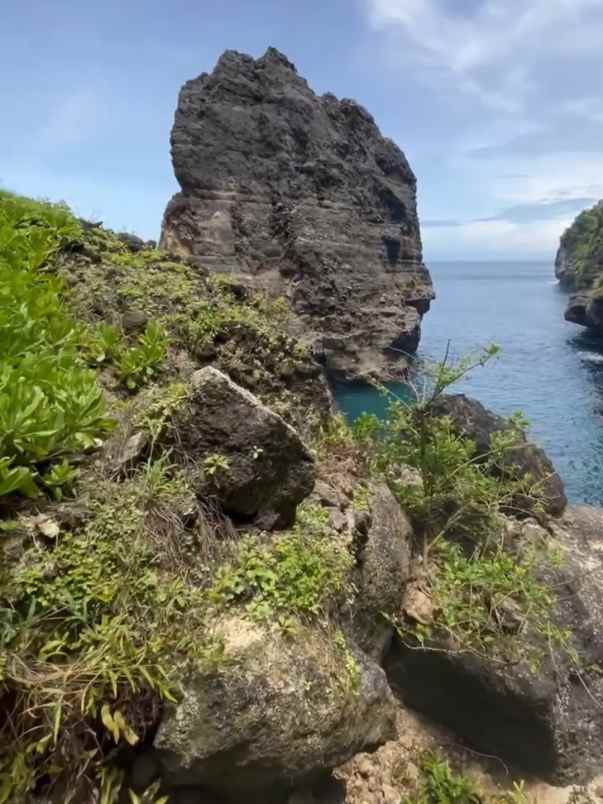 dijual 38 ha loss tebing tanglad nusa penida klungkung