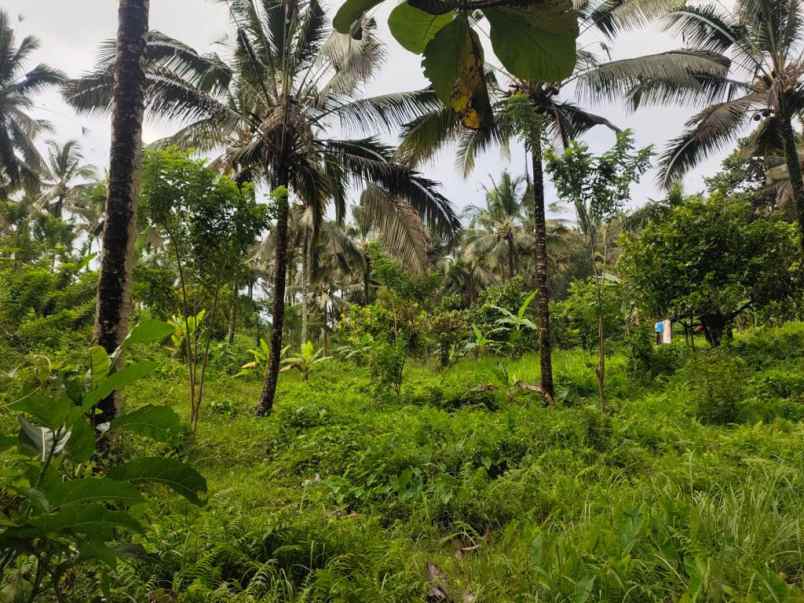 dijual lahan dengan view 3 air terjun sekaligus