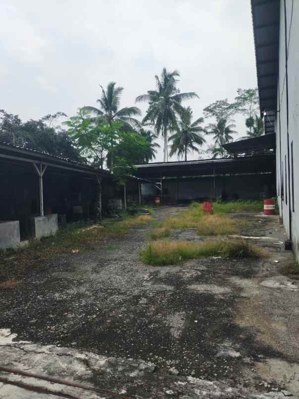 dijual ruko gudang kantor jalan raya randuagung