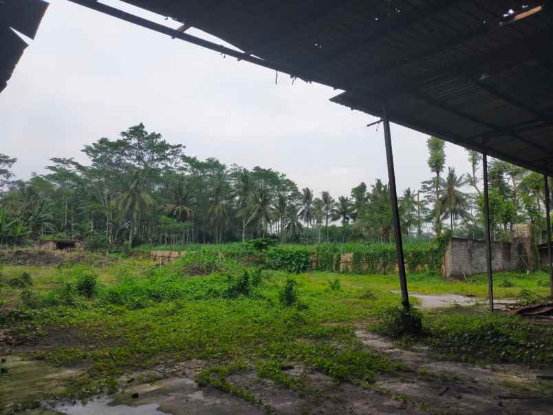 dijual ruko gudang kantor jalan raya randuagung