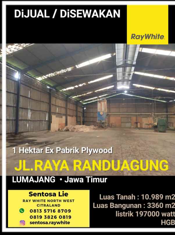dijual ruko gudang kantor jalan raya randuagung
