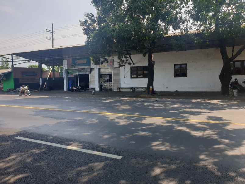 dijual ruko gudang kantor jalan raya rejoso