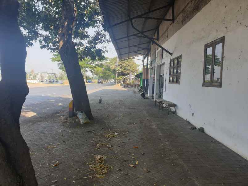 dijual ruko gudang kantor jalan raya rejoso