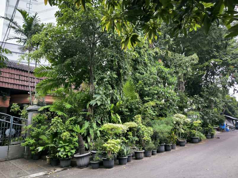 dijual rumah jl cempaka putih barat