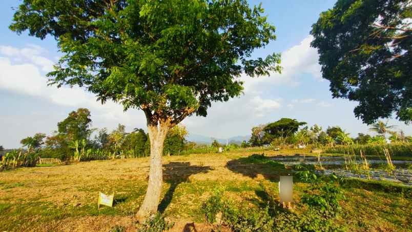 dijual tanah 2967m jln dpu matesih karanganyar