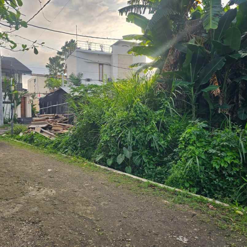 dijual tanah berawa