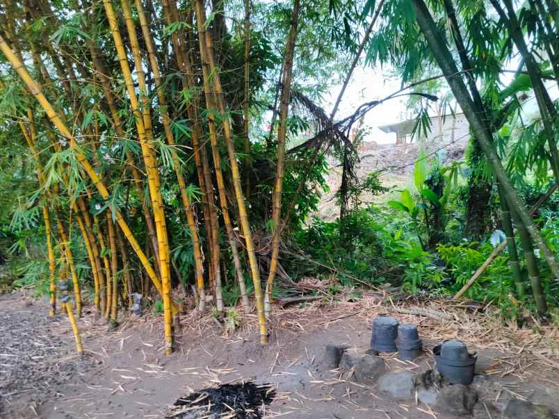 dijual tanah beserta cafe rumah di jalan kaliurang