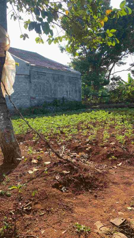 dijual tanah bulusan