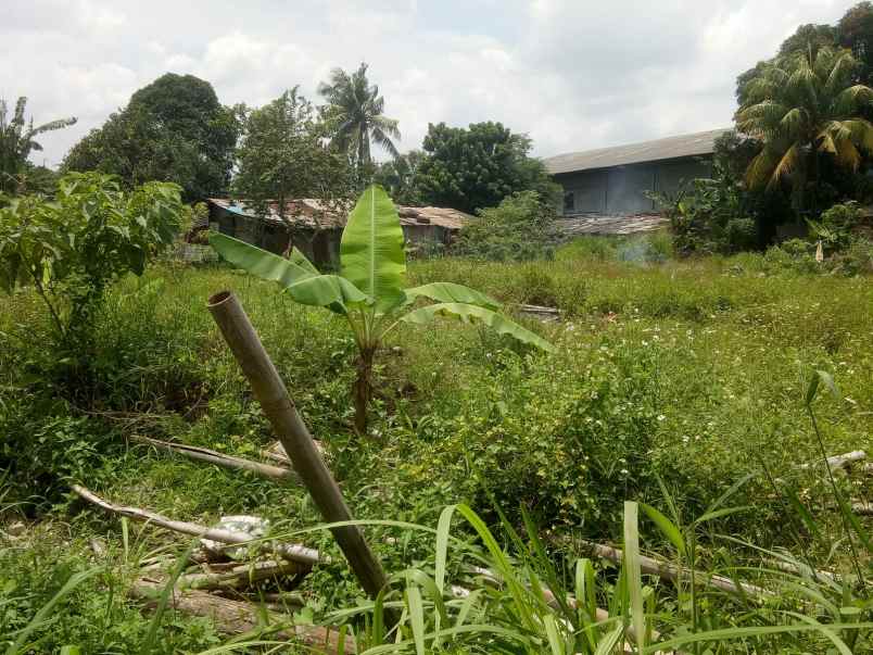 dijual tanah cileungsi