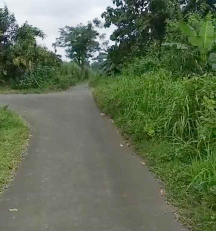 dijual tanah cipeujeuh wetan