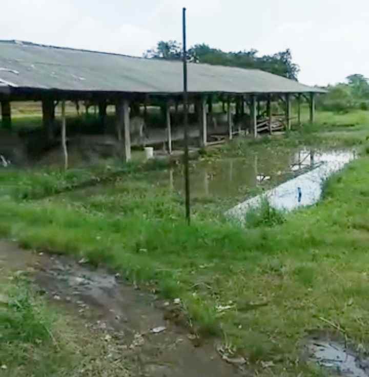 dijual tanah cipeujeuh wetan