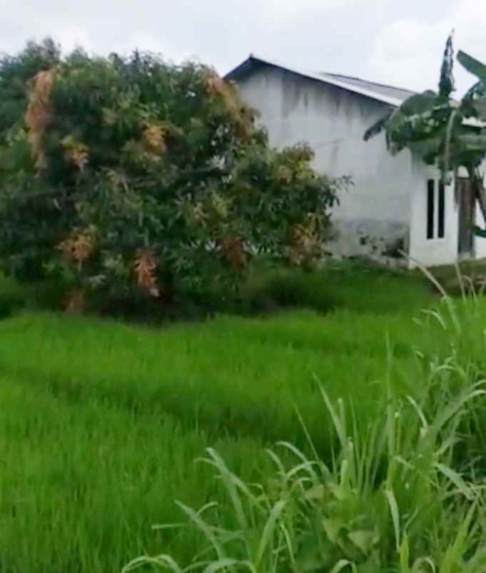 dijual tanah cipeujeuh wetan