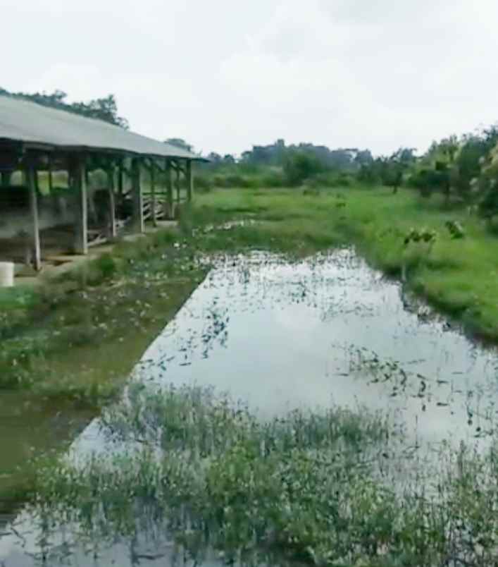 dijual tanah cipeujeuh wetan