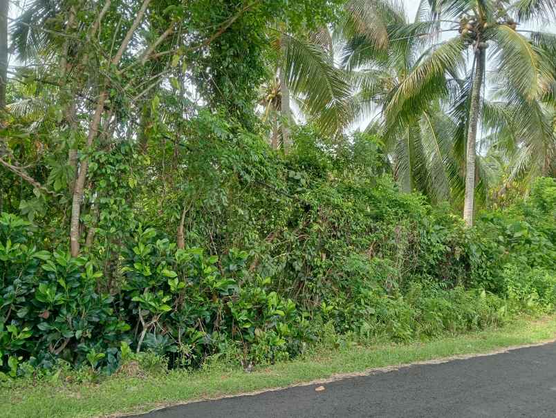 dijual tanah desa lalanglingah kec