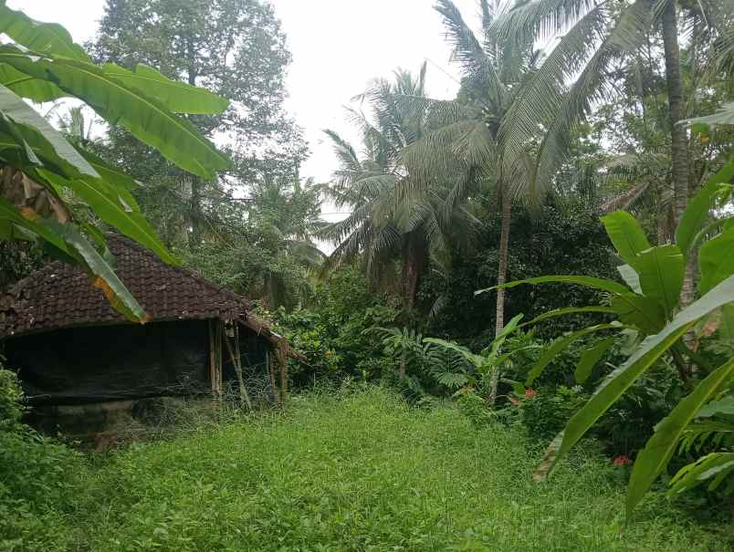 dijual tanah desa lalanglingah kec