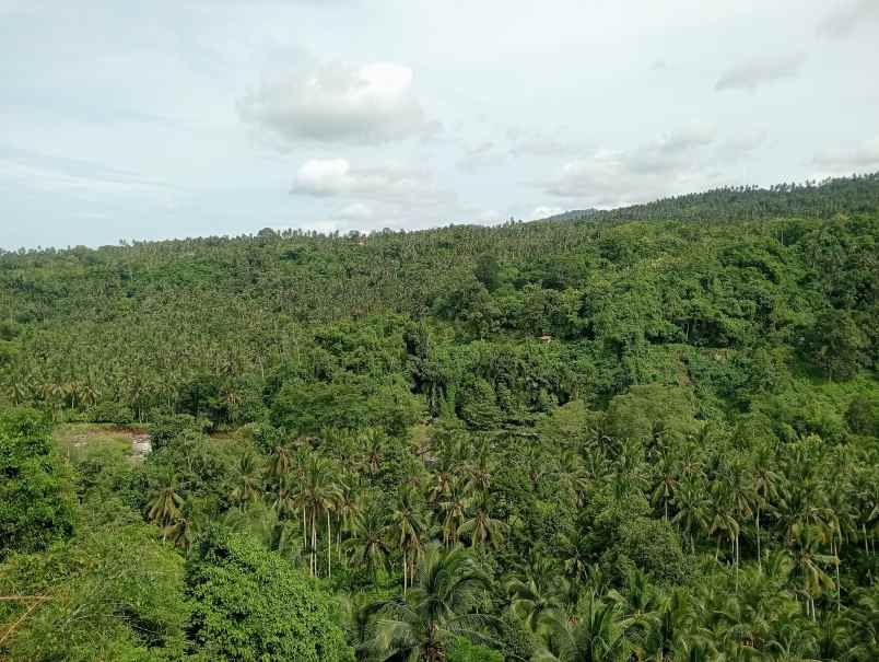 dijual tanah desa lalanglingah kec