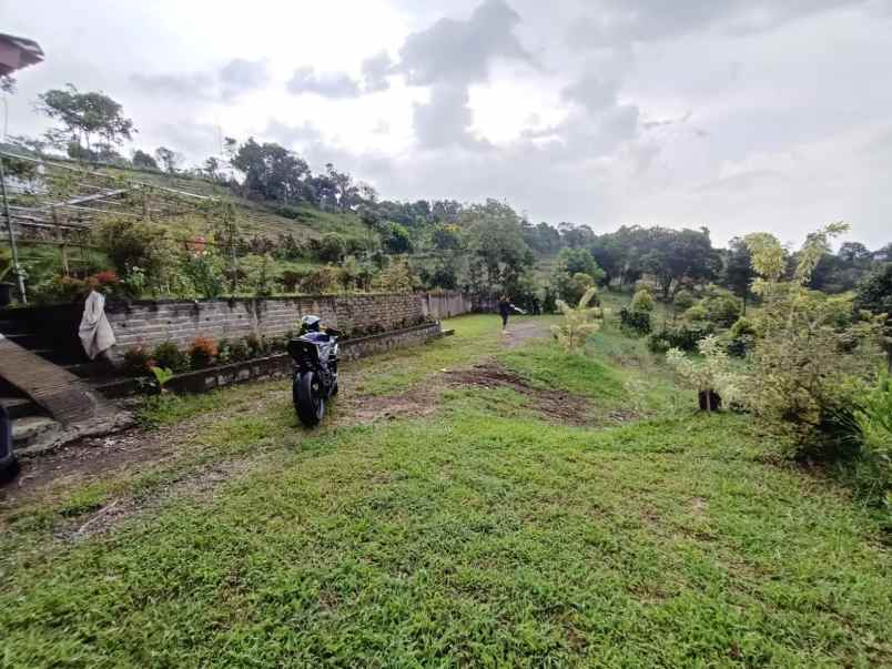 dijual tanah desa tajur halang cijeruk