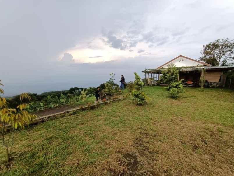 dijual tanah desa tajur halang cijeruk