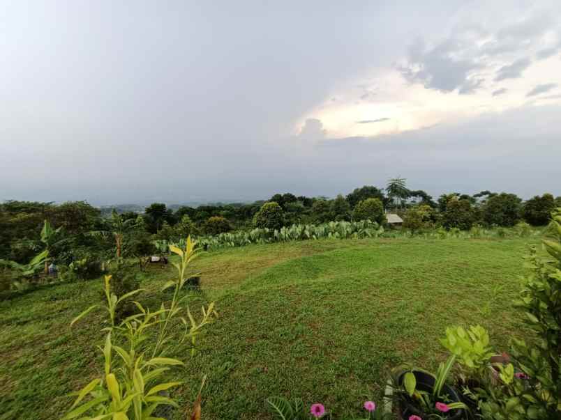 dijual tanah desa tajur halang cijeruk