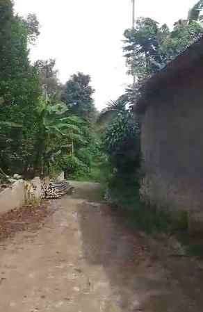 dijual tanah desa tenjolaut kecamatan