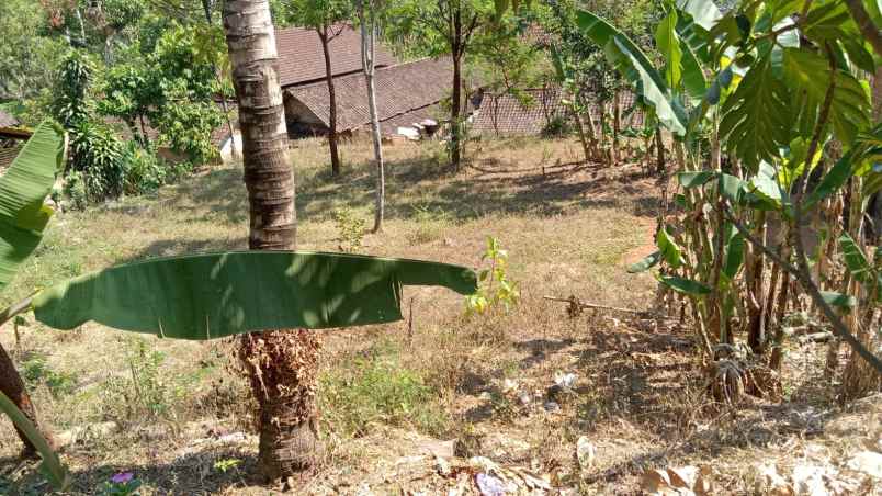 dijual tanah di desa ngunut kec parang kab magetan