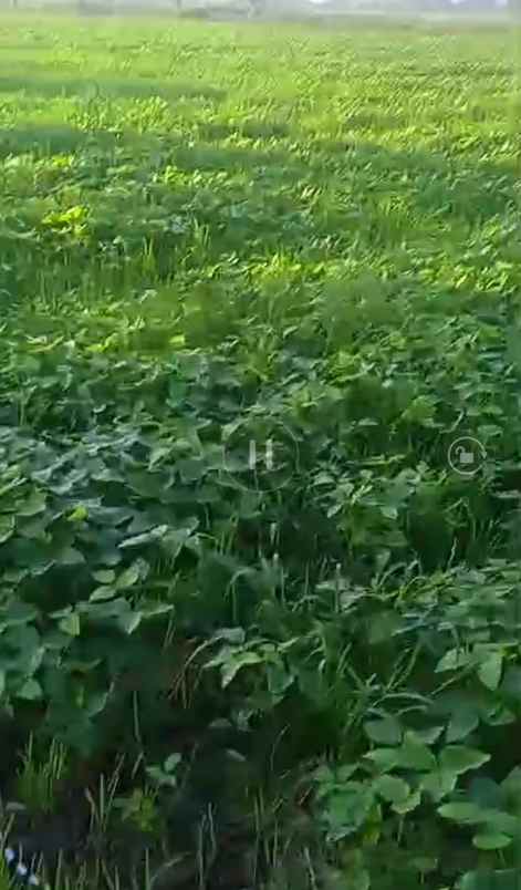 dijual tanah dijual tanah cepat di jl