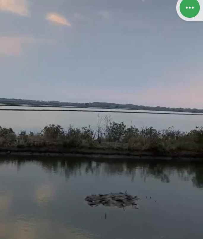 dijual tanah empang cirebon