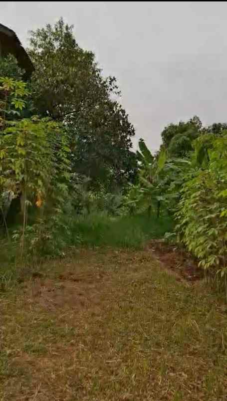 dijual tanah jababeka