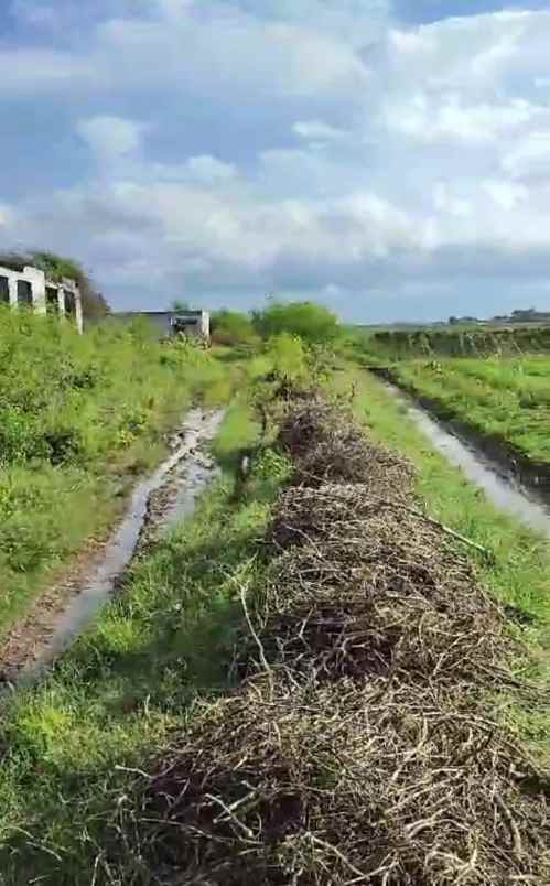 dijual tanah jalan bi pasar