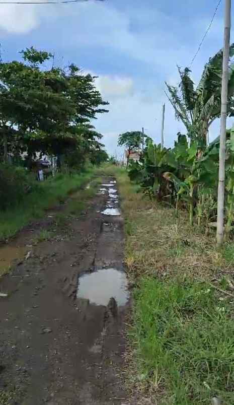 dijual tanah jalan bi pasar