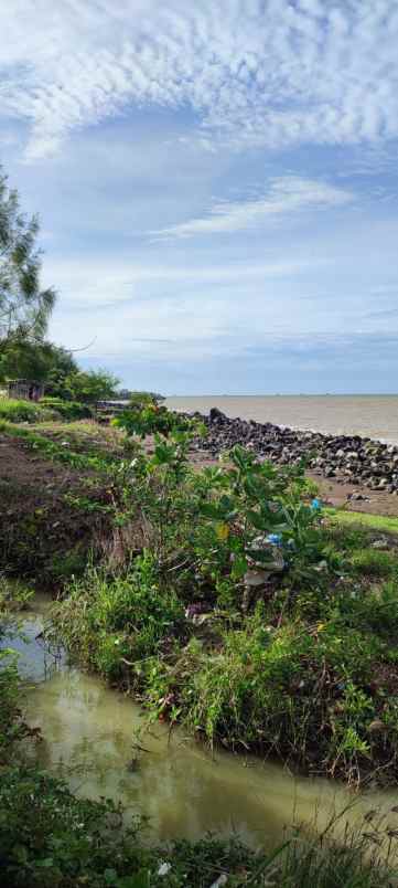 dijual tanah jalan bi pasar