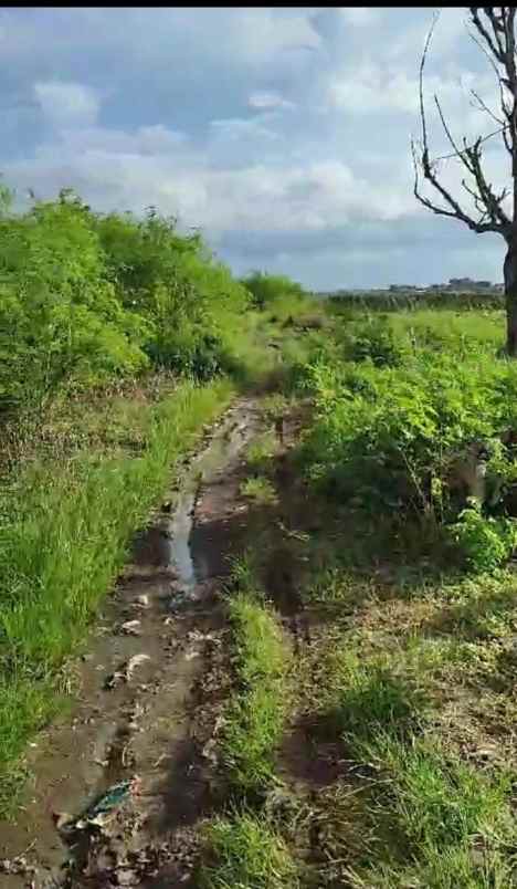 dijual tanah jalan bi pasar