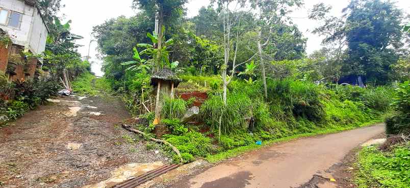 dijual tanah jalan buni wangi