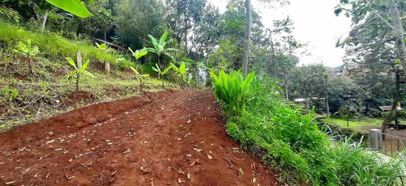 dijual tanah jalan buni wangi