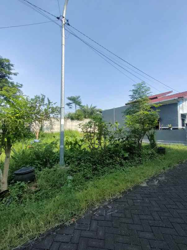 dijual tanah jalan patimura temas