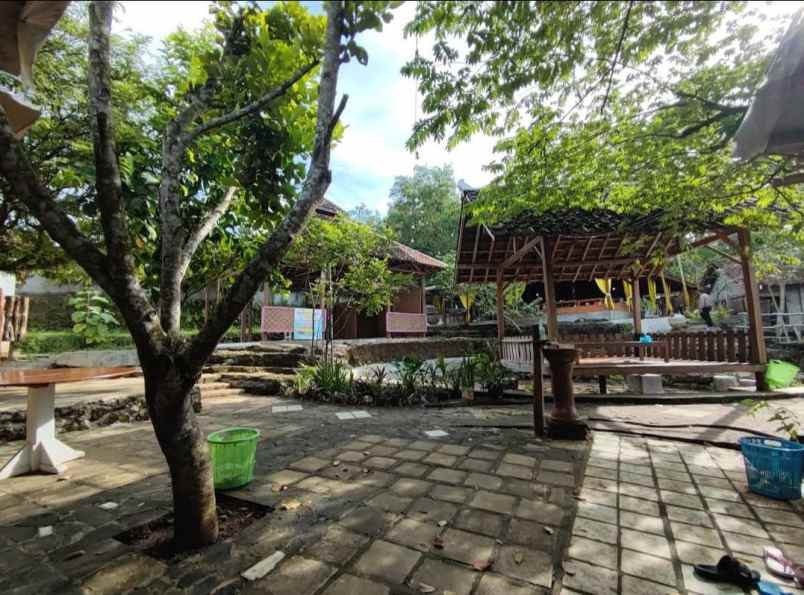 dijual tanah jalan raya karangmojo