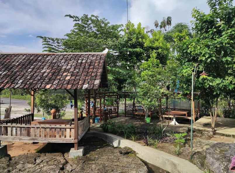 dijual tanah jalan raya karangmojo