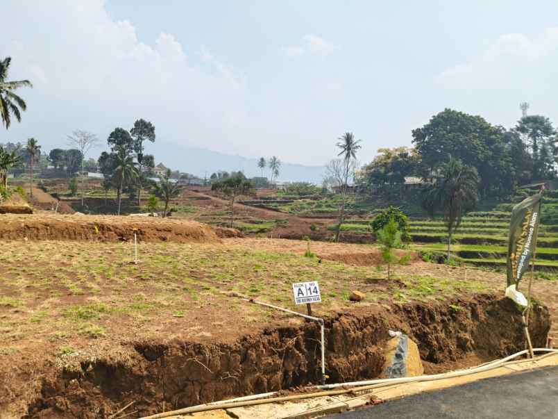 dijual tanah jalan raya sentul bogor