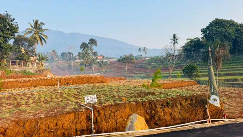 dijual tanah jalan raya sentul bogor