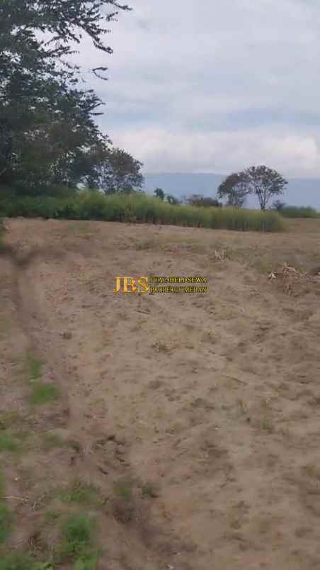 dijual tanah jalan raya simanindo