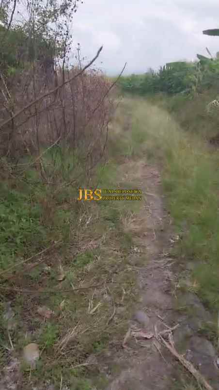 dijual tanah jalan raya simanindo